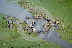 Illegal dumping surfacing pollution at low tide