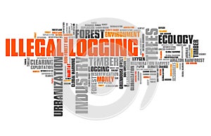 Illegal logging word cloud