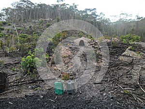 Illegal Production of Charcoal in Mata Atlantica Forest - Brazil photo