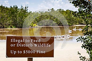 Illegal to Feed or Disturb Wildlife