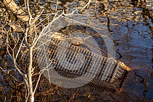 Illegal wildlife trap, used to catch and trap otters, mink and crayfish