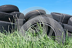 Illegally disposed old tires