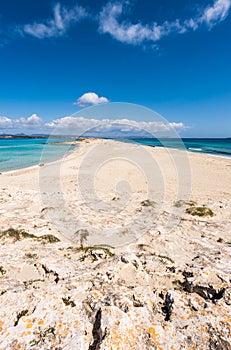 Illetes beach in Formentera island