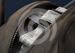 Illicit Cash In A Brown Duffel Bag photo