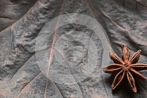 Illicium verum on the discolored leaf macro