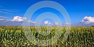 Illinois Agricultural Land