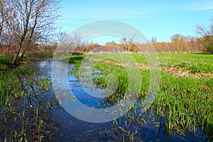 Illinois Backwaters