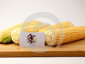 Illinois flag on a wooden panel with corn isolated on a white ba