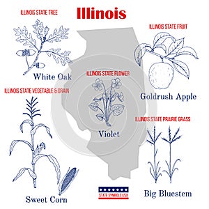 Illinois. Set of USA official state symbols