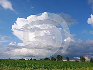 Illinois Thunderstorm photo