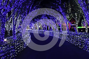 Illumia Light Illumination festival Korea Night