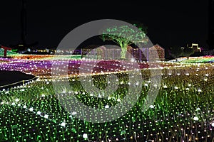 Illumia Light Illumination festival Korea Night