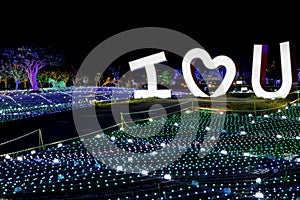 Illumia Light Illumination festival Korea Night I LOVE YOU