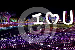 Illumia Light Illumination festival Korea Night I LOVE YOU