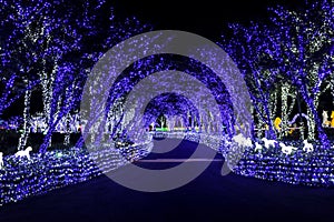 Illumia Light Illumination festival Korea Night