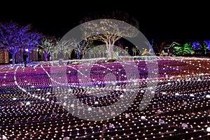 Illumia Light Illumination festival Korea Night