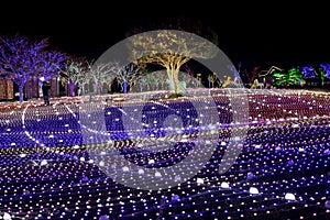 Illumia Light Illumination festival Korea Night