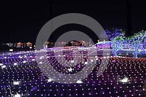 Illumia Light Illumination festival Korea Night