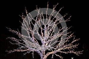 Iluminado un árbol decorado nuevo día festivo en la ciudad por la noche 