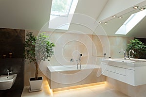 Illuminated bathroom in new house