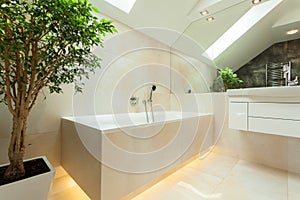 Illuminated bathtube in modern bathroom