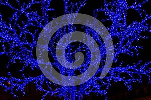 Illuminated blue tree at Place Gutenberg during Christmas season