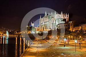 Illuminated Cathedral of Palma de Majorca at night