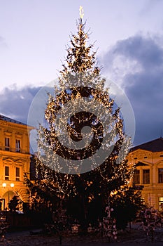 Illuminated Christmas tree photo