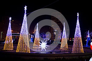 Illuminated Christmas trees
