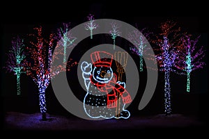 Illuminated Christmas trees and Snowman