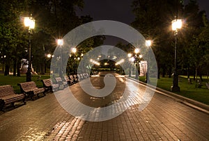 Illuminated city park at summer night. background, city life.