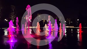 Illuminated and colorful fountain at night. Multi-coloured water jets