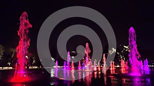 Illuminated and colorful fountain at night. Multi-coloured water jets