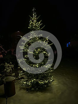 Illuminated and decorated Christmas tree, covered with snow