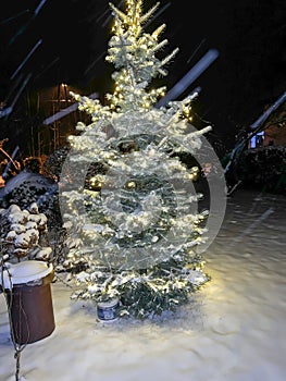 Illuminated and decorated Christmas tree, covered with snow