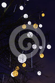 Illuminated decorations on a bare tree in Tallinn