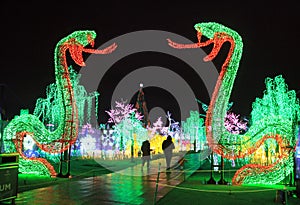 Illuminated Figurins photo