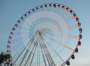 Illuminated ferris wheel at dusk on a blue sky with palm trees.