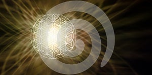 Illuminated Flower of Life Sepia Background photo