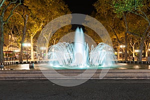 Illuminated fountain and tree lined promenade long exposure nigh