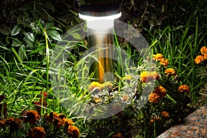 Illuminated Garden by LED Lighting