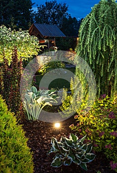 Illuminated Garden at Night