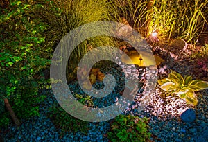 Illuminated Garden with Pond