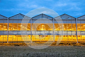 Illuminated industrial greenhouse