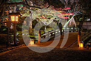 illuminated Kenrokuen garden during momijigari season, Kanazawa city, Ishikawa prefecture, Japan photo