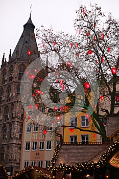 Illuminated lanterns in a tree