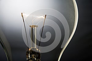 Illuminated Light Bulb