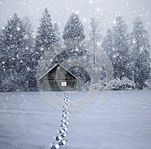 Illuminated log cabin in winter night