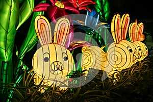 Illuminated Mid-Autumn Festival Rabbit Lanterns