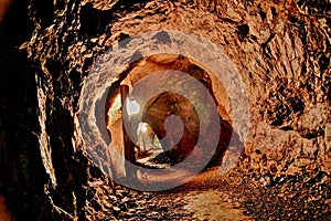 Illuminated Mine Shaft Tunnel With Winding Path photo